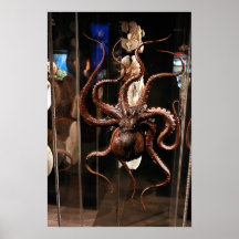 Houston Museum of Natural Science Poster