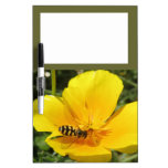 Hoverfly and Flower Memo Board Dry Erase Whiteboard