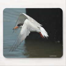 Hovering Tern mousepad