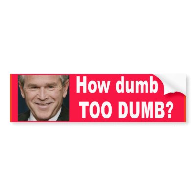 How dumb is too dumb? bumper stickers by WanderingWomyn