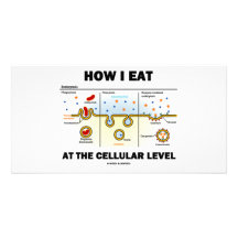 How I Eat At The Cellular Level (Endocytosis) Photo Card