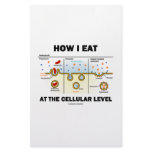 How I Eat At The Cellular Level (Endocytosis) Personalized Stationery