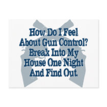 How I Feel About Gun Control Postcard
