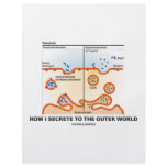 How I Secrete To The Outer World (Exocytosis) Personalized Flyer