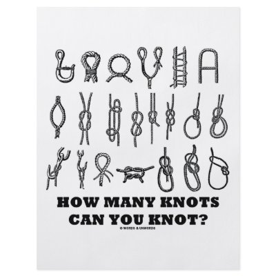 How Many Knots Can You Knot? by wordsunwords