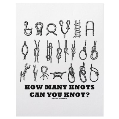 How Many Knots Can You Knot? by wordsunwords