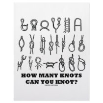 How Many Knots Can You Knot?