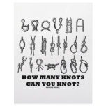 How Many Knots Can You Knot? letterhead