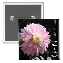 How May I Help You! buttons Dahlia Flower Floral