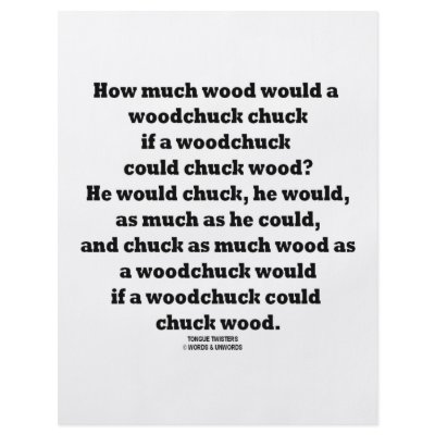 How Much Wood Would A Woodchuck Chuck Twister by wordsunwords