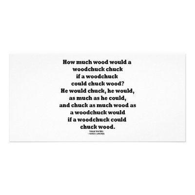 How Much Wood Would A Woodchuck Chuck Twister by wordsunwords