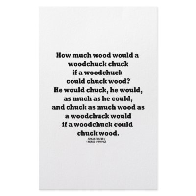 How Much Wood Would A Woodchuck Chuck Twister by wordsunwords