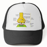 How Nerve Signals Are Sent With Synapses Diagram