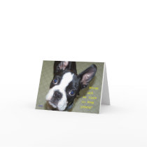 How Old In Dog Years? Cards