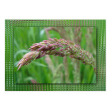 How the Grass Grows Bookmarks Business Card Templates