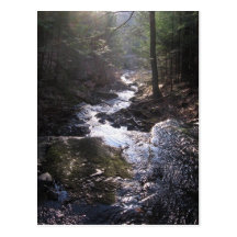 how the water flows post card