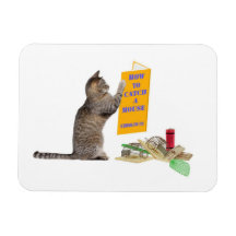 How to catch a mouse rectangle magnet