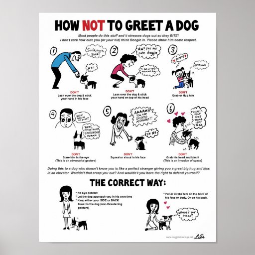 How To Greet A Dog poster (11 x 14") - by Lili Chi