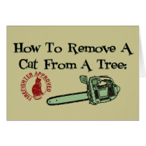 How to Remove a Cat from a Tree