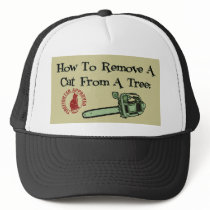 How to Remove a Cat from a Tree