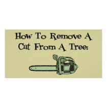 How to remove a cat from a tree