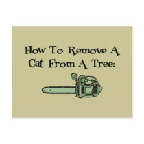 How to remove a cat from a tree