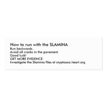 How to run with the SLAMINA Business Cards