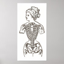 How Women Suffer for Beauty: The Impact of Corsets Poster