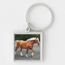 howard county fair key chain