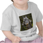 Howdy Neighbour Tee Shirts