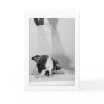 Howie in the Bath cards