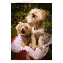 Howlidays heureux carte de vœux