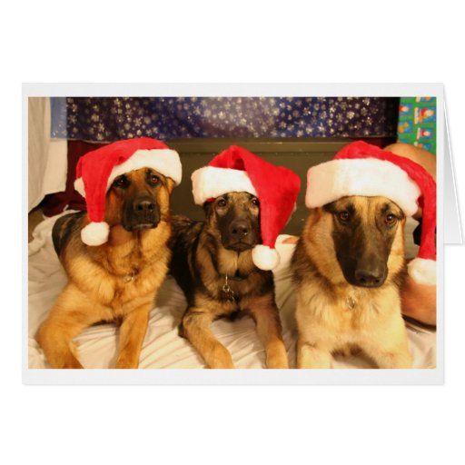 Howlidays heureux carte de vœux