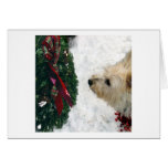 Howlidays heureux ! cartes de vœux