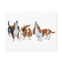 Howling Basset Hounds Postcard