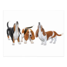 Howling Basset Hounds Postcard