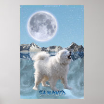 Howling Samoyed Dog in Falling Snow Art Poster