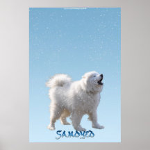 Howling Samoyed Dog in Falling Snow Pet Poster