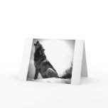 Howling Wolf in Snow cards