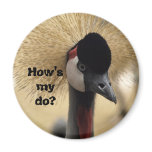 How's my do? magnets