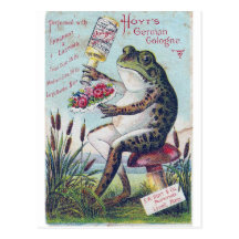 Hoyt's German Cologne Frog Postcards
