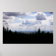 HPIM6119 PRINT