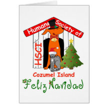 HSCI Christmas Card