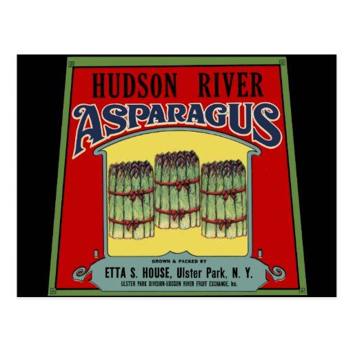 Hudson River Asparagus Label Postcard