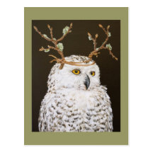 Hudson the snowy owl postcard