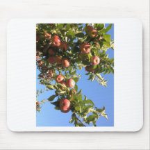 Hudson Valley Apples Mouse Pad