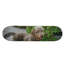 Huey sur la planche à roulettes