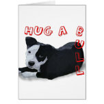 Hug-A-Bull Greeting Cards