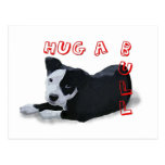 Hug-A-Bull Post Cards