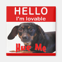 Hug A Dachshund Fridge Magnets